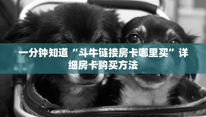 一分钟了解“人人大厅斗牛房卡出售”房卡哪里可以获取