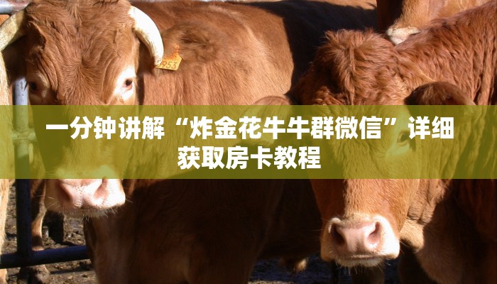 一分钟了解“微信金花房间怎么进入”详细获取房卡方式