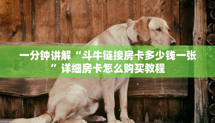 一分钟讲解“斗牛链接房卡多少钱一张”详细房卡怎么购买教程 一分钟讲解“斗牛链接房卡多少钱一张”详细房卡怎么购买教程