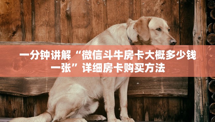 一分钟讲解“微信斗牛房卡大概多少钱一张”详细房卡购买方法