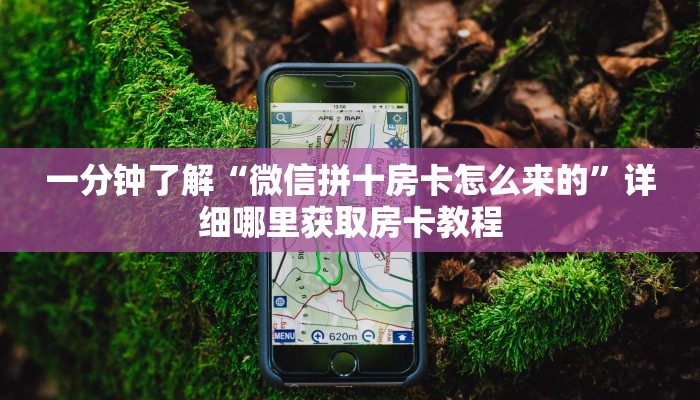 玩家必看“金花牛牛房卡出售”教程房卡分享