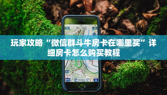 玩家攻略“微信群斗牛房卡在哪里买”详细房卡怎么购买教程