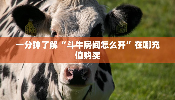 一分钟了解“微信好友怎么玩拼十张房间”房卡购买教程方法 一分钟了解“微信好友怎么玩拼十张房间”房卡购买教程方法