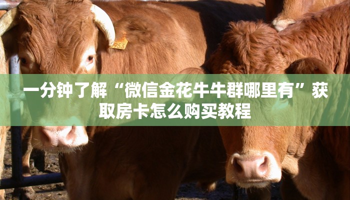 一分钟了解“皇豪互众牛牛炸金花房卡”获取房卡购买教程