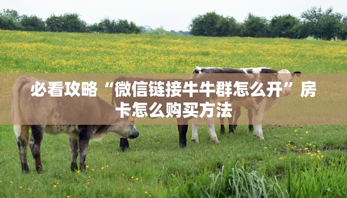 一分钟知道“三公房卡客服电话24小时人工服务热线”获取房卡购买教程