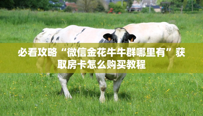 玩家攻略“正版斗牛链接房卡怎么充值”详细获取房卡方式