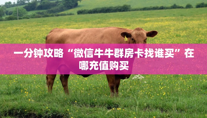 玩家必看“新九哥金花房卡”教程房卡分享