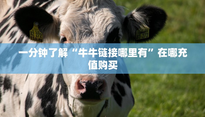 一分钟知道“新人皇大厅怎么买房卡”教程房卡分享