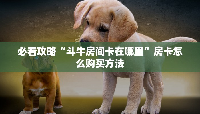 一分钟了解“新蜜瓜大厅怎么充房卡”房卡哪里可以获取