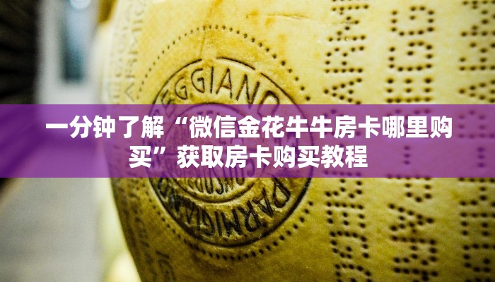 玩家必看“道游大厅购买房卡呀”获取房卡购买教程