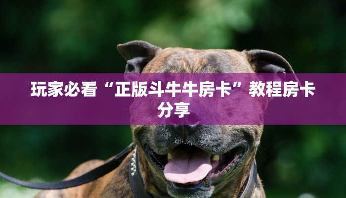 玩家攻略“微信炸金花房间怎么创建”详细获取房卡方式