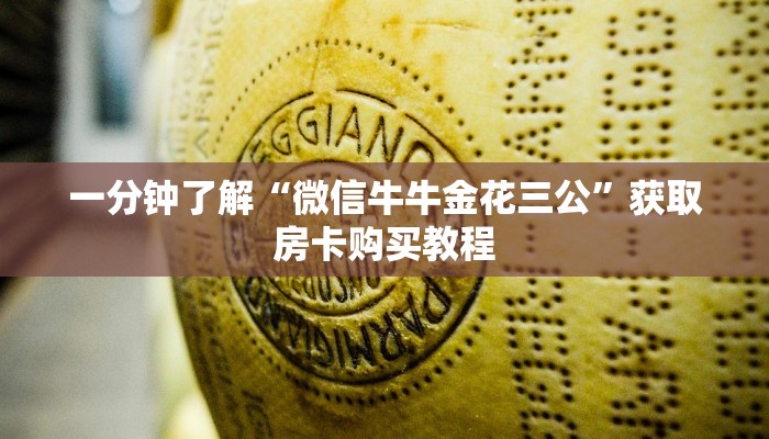 一分钟了解“微信牛牛金花三公”获取房卡购买教程