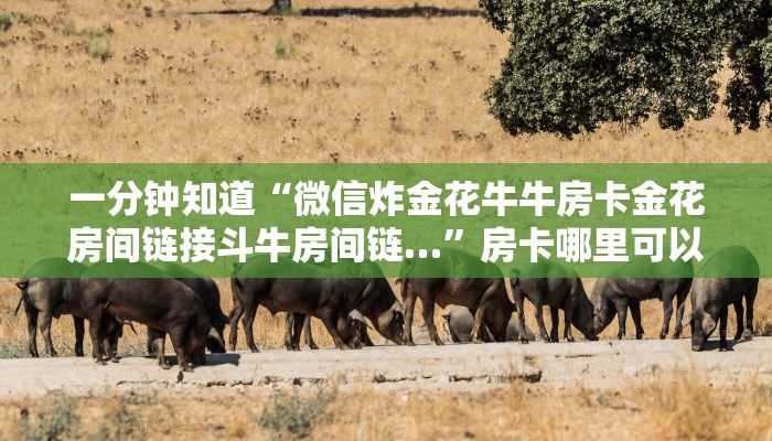 一分钟知道“微信炸金花牛牛房卡金花房间链接斗牛房间链…”房卡哪里可以获取 一分钟知道“微信炸金花牛牛房卡金花房间链接斗牛房间链…”房卡哪里可以获取