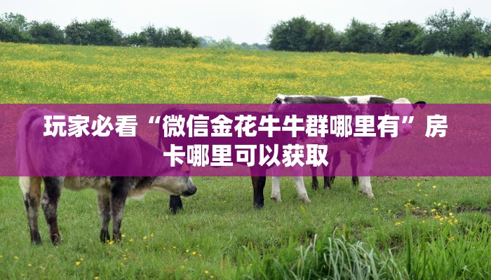 玩家必看“微信金花牛牛群哪里有”房卡哪里可以获取 玩家必看“微信金花牛牛群哪里有”房卡哪里可以获取