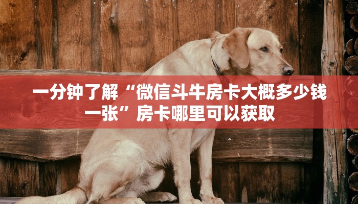 一分钟了解“微信斗牛房卡大概多少钱一张”房卡哪里可以获取