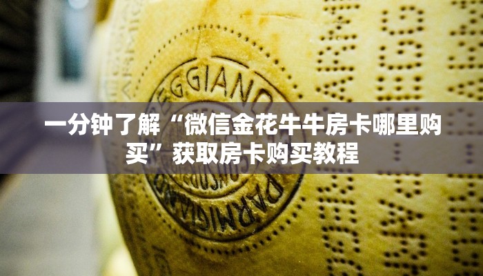 一分钟了解“微信金花牛牛房卡哪里购买”获取房卡购买教程 一分钟了解“微信金花牛牛房卡哪里购买”获取房卡购买教程