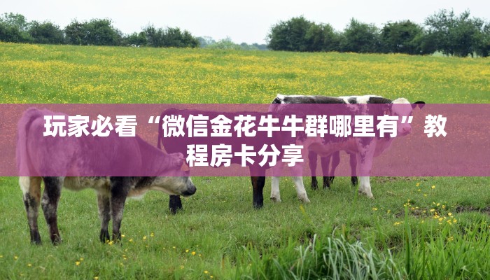 玩家必看“微信金花牛牛群哪里有”教程房卡分享