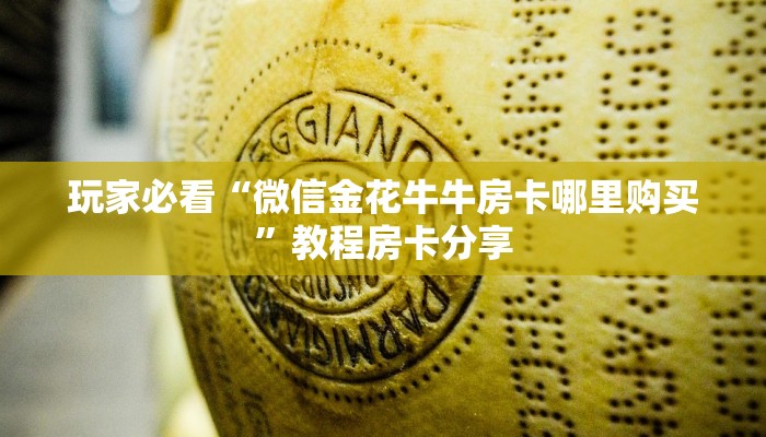 玩家必看“微信金花牛牛房卡哪里购买”教程房卡分享
