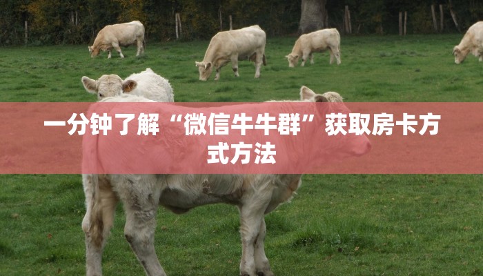 一分钟了解“微信牛牛群”获取房卡方式方法 一分钟了解“微信牛牛群”获取房卡方式方法