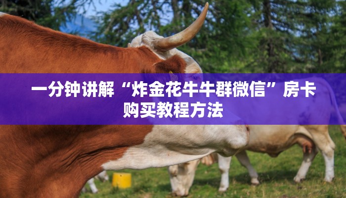 一分钟讲解“炸金花牛牛群微信”房卡购买教程方法