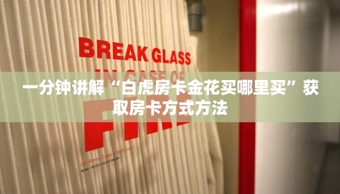 一分钟讲解“白虎房卡金花买哪里买”获取房卡方式方法