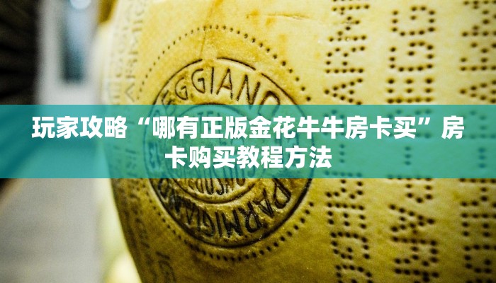 玩家攻略“哪有正版金花牛牛房卡买”房卡购买教程方法