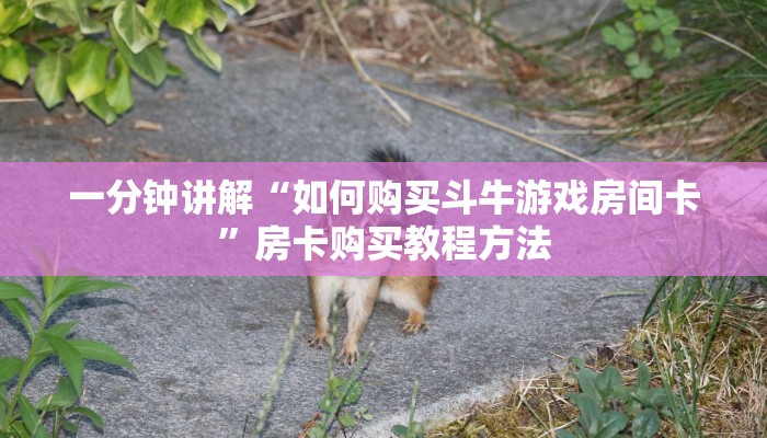 一分钟讲解“如何购买斗牛游戏房间卡”房卡购买教程方法