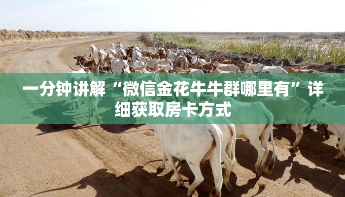 一分钟讲解“微信金花牛牛群哪里有”详细获取房卡方式