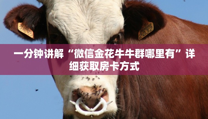 玩家攻略“吉祥三公客服房卡”详细获取房卡方式