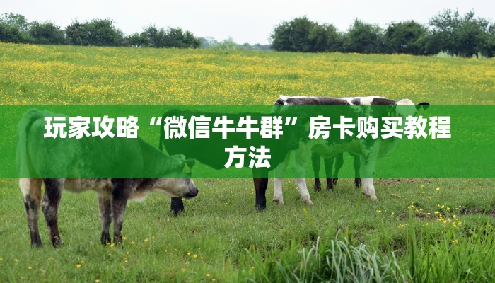 玩家攻略“微信牛牛群”房卡购买教程方法